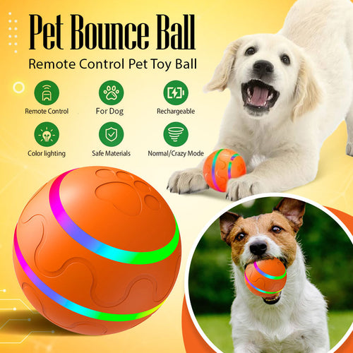Pet Bounce Ball