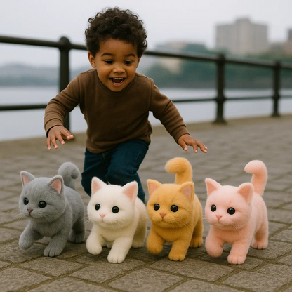 🐱Cat Toys