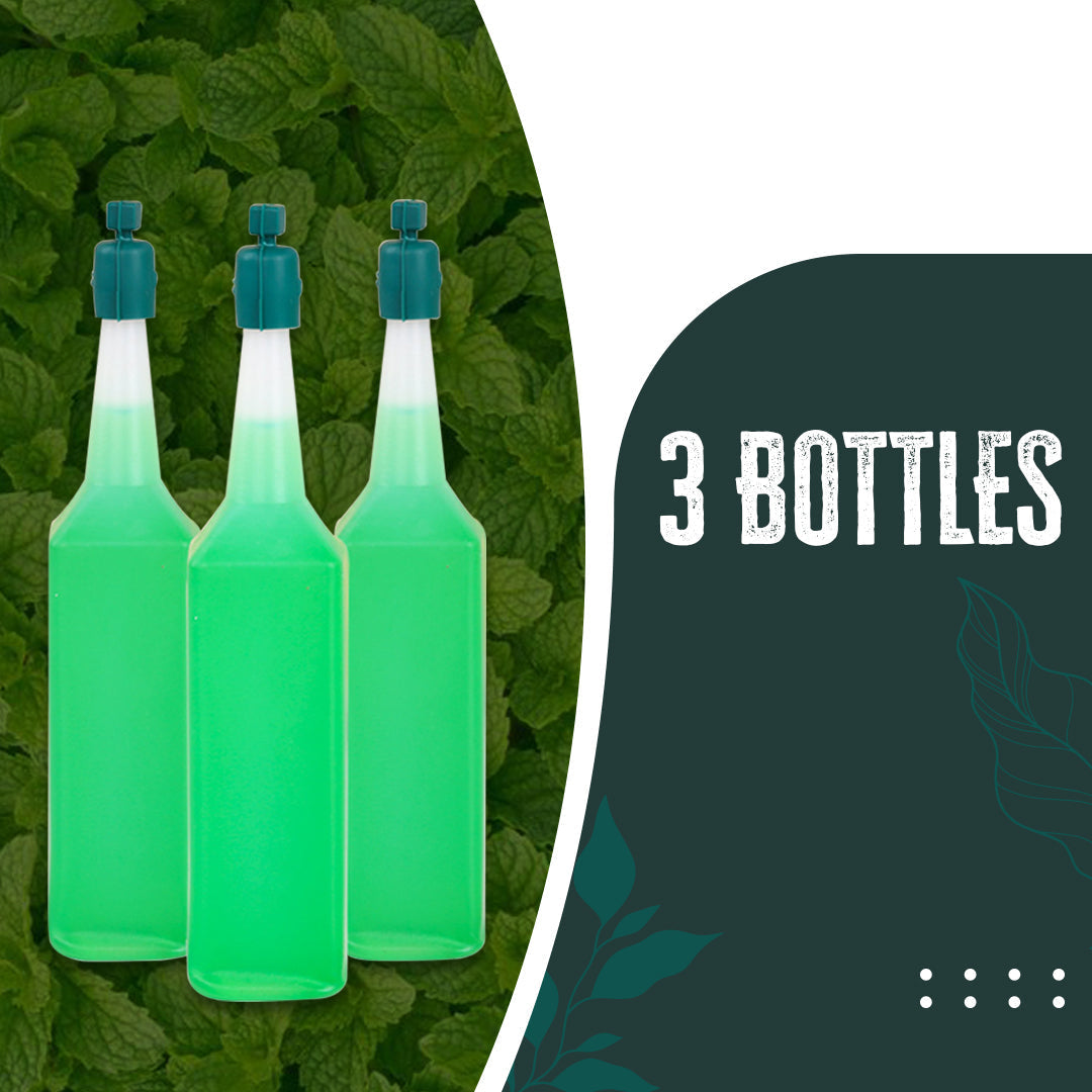 3 Bottles/ Set - Only $5.9 Each