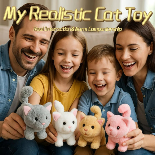 🐱Cat Toys