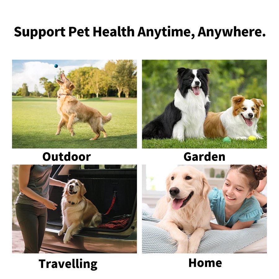 🐱 Pet products | pet deodorant, spray sterilization, deodorization 🐕