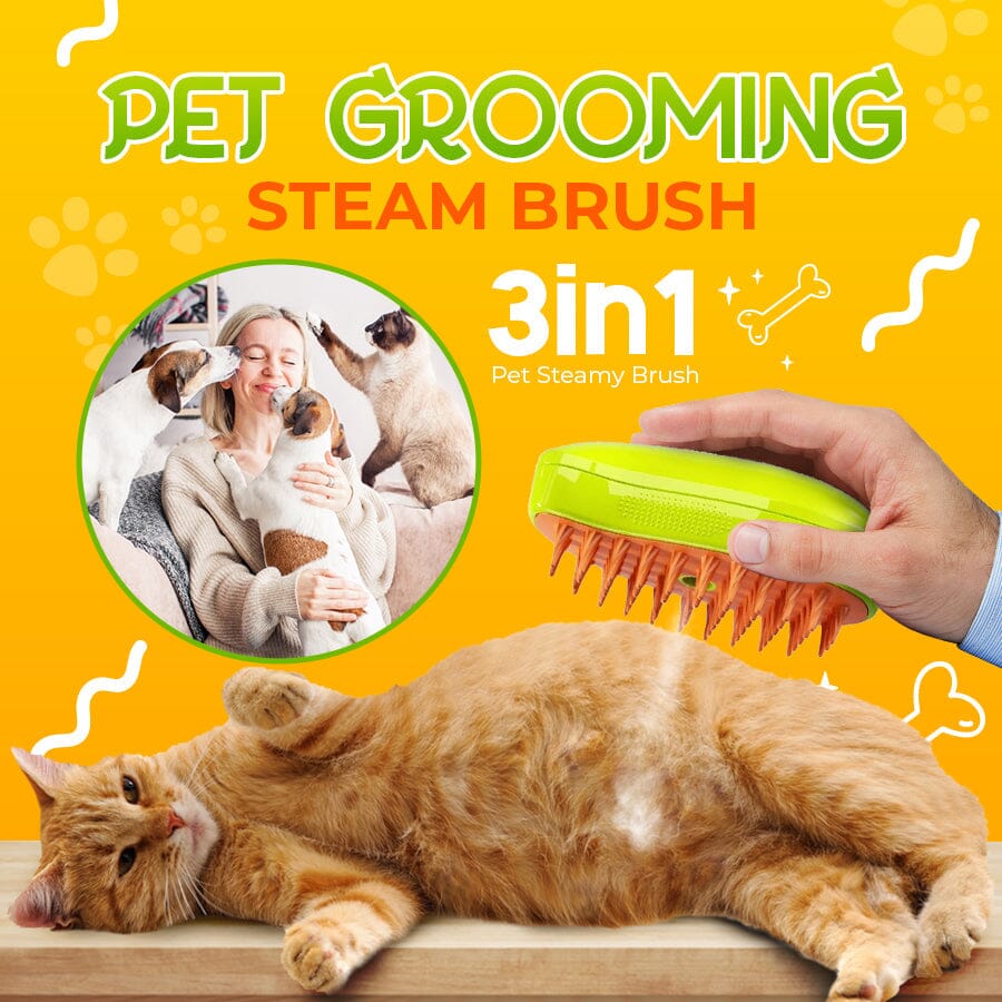 🟢Pet Grooming Steamy Brush