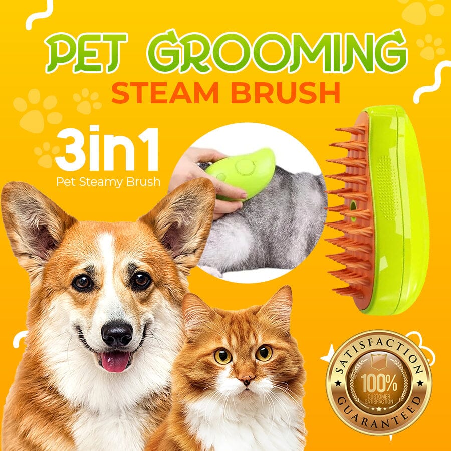 🟢Pet Grooming Steamy Brush